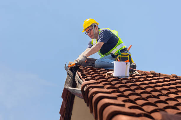 Best Chimney Flashing Repair  in Tanaina, AK